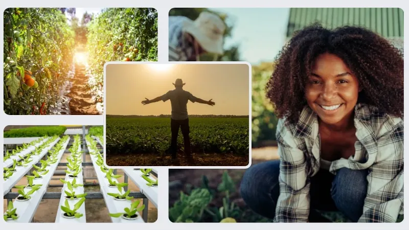 nopal-community-trust Cultivating an Enduring Legacy through an Ecosystem of Community Engagement, Biodiversity, and Market Ventures.